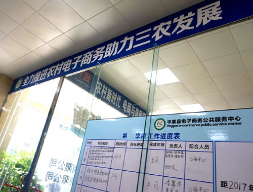 整合优势资源,促进电商融合,广西平果 电商扶贫 动起来