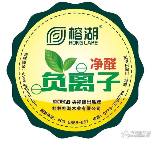 亮点纷呈,收获颇丰 桂湖木业精彩亮相广西退役军人创业创新产品交易会