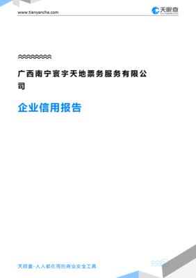 广西南宁寰宇天地票务服务企业信用报告-天眼查