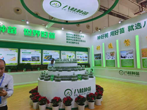 广西东门林场澳洲大花梨和五指毛桃分获首届世界林木业大会参展产品金银奖