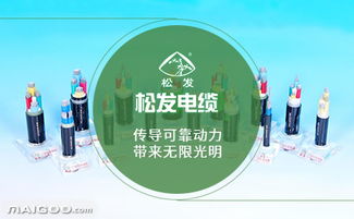 广西电线电缆品牌 广西电线电缆厂家 广西有哪些电线电缆品牌